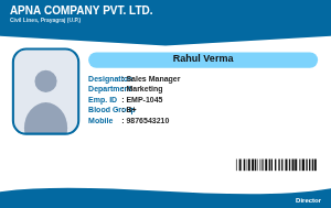 Sky Corporate employee ID card design